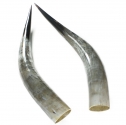 natural shoe horn